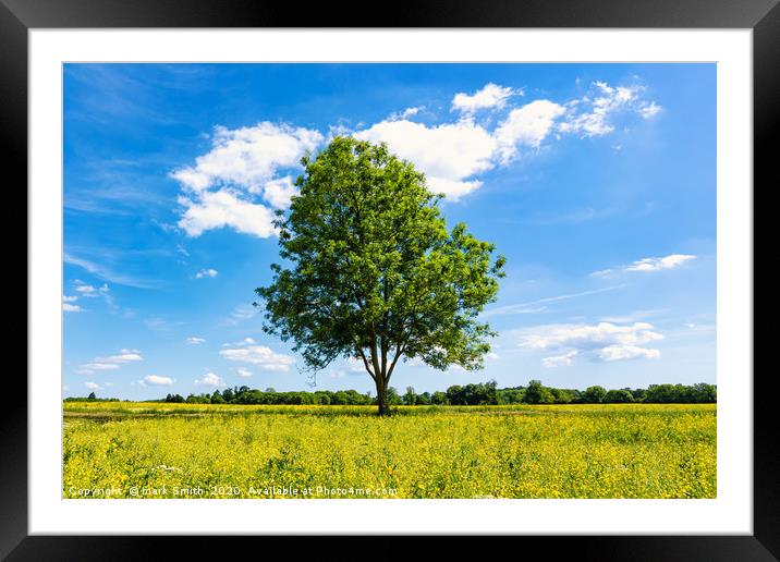Summer Meadow Framed Mounted Print by mark Smith