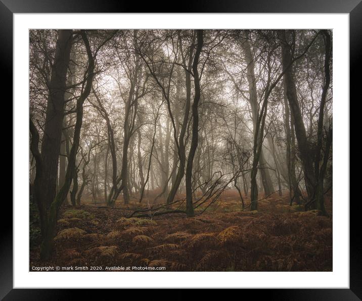 misty autumn woodland Framed Mounted Print by mark Smith