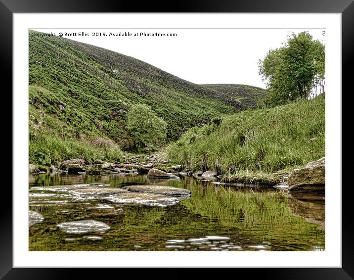 From the ashes...  Framed Mounted Print by Brett Ellis