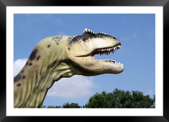 t-rex dinosaur head Framed Mounted Print by goce risteski