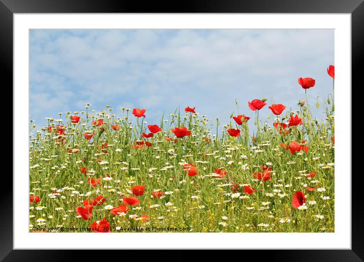 colorful meadow with wild flowers Framed Mounted Print by goce risteski