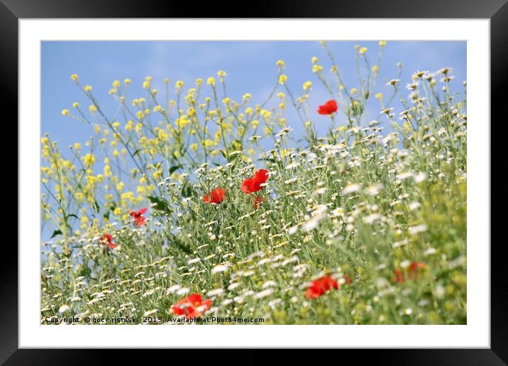 meadow with wild flowers nature scene Framed Mounted Print by goce risteski