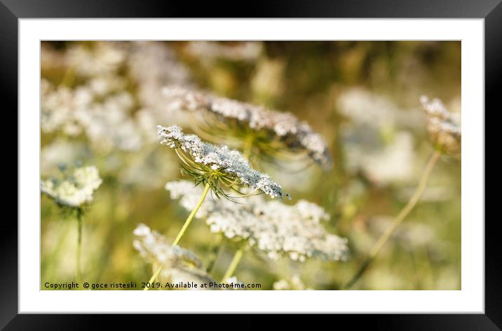 meadow spring season nature background Framed Mounted Print by goce risteski