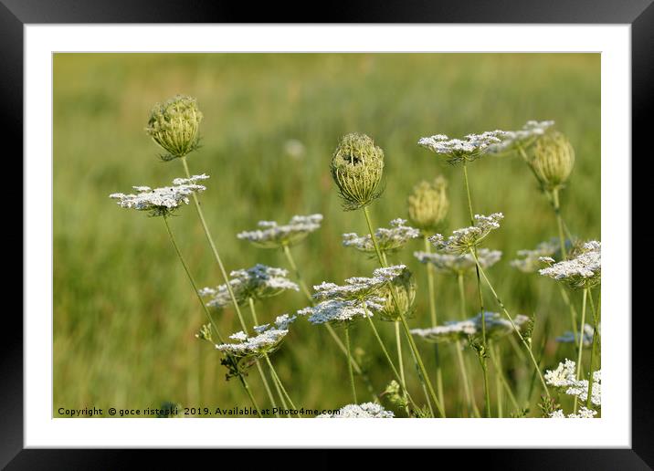 wild flowers meadow spring season Framed Mounted Print by goce risteski
