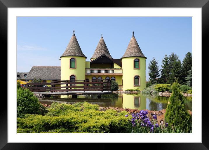 castle with pond Eastern Europe Serbia Framed Mounted Print by goce risteski