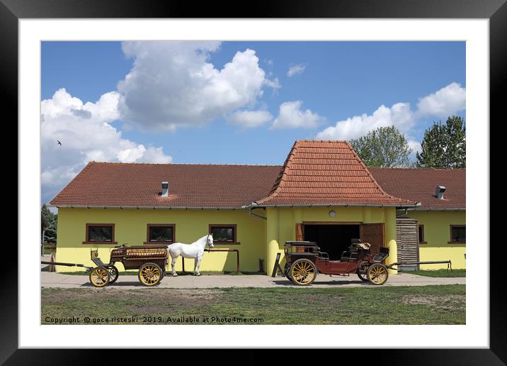 Lipizzaner horse and carriage on farm Framed Mounted Print by goce risteski