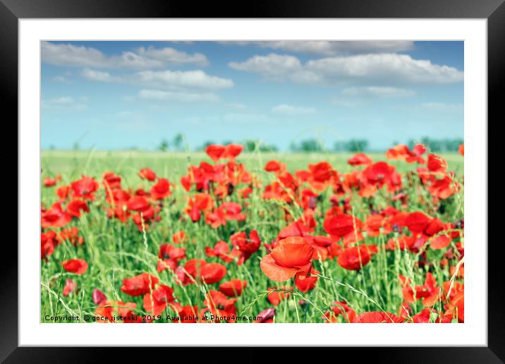 red poppy flowers meadow landscape Framed Mounted Print by goce risteski