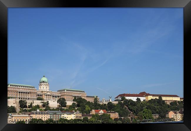 Buda castle on hill Budapest cityscape Framed Print by goce risteski