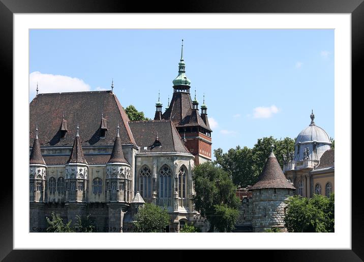 castle vajdahunyad landmark Budapest Hungary Framed Mounted Print by goce risteski