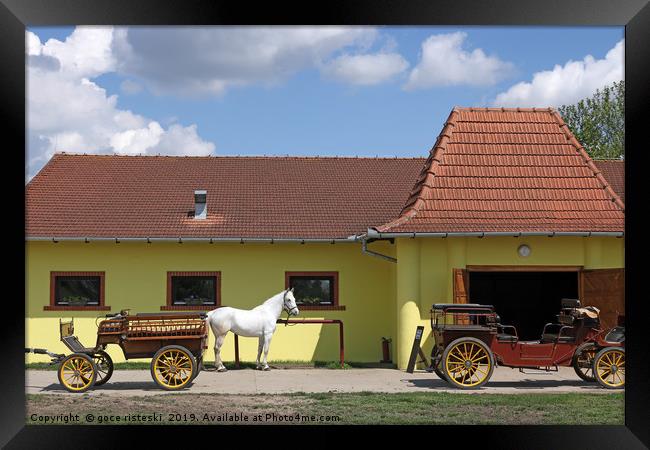 white horse and old carriage on ranch Framed Print by goce risteski