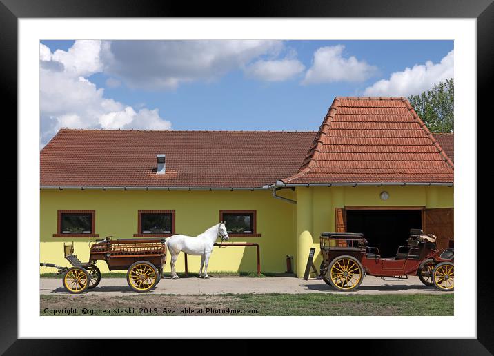 white horse and old carriage on ranch Framed Mounted Print by goce risteski