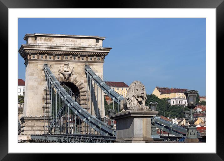 lion statue chain bridge Budapest Framed Mounted Print by goce risteski
