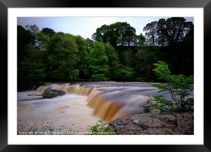 Aysgarth Fall -Wensleydale  Yorkshire Dales  Framed Mounted Print by David Tomlinson