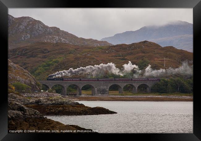Scottish Steam  Framed Print by David Tomlinson