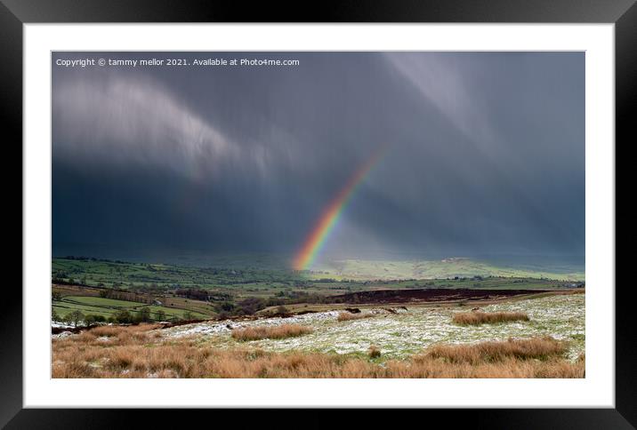 Majestic Rainbow Over Moorlands Framed Mounted Print by tammy mellor