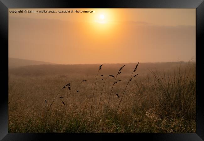 Enchanting Misty Moorlands Framed Print by tammy mellor