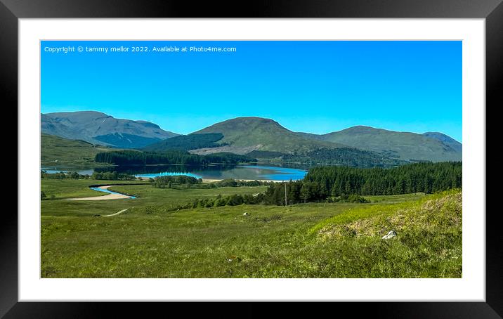 Majestic Scottish Landscape Framed Mounted Print by tammy mellor