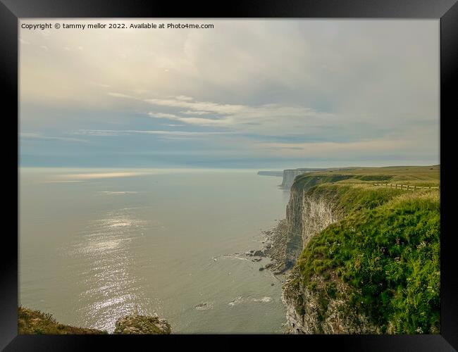 Majestic Sunrise Over Bempton Cliffs Framed Print by tammy mellor