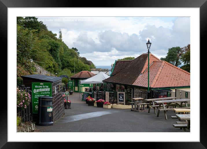 A Scenic Ride on the Cliff Railway Framed Mounted Print by tammy mellor