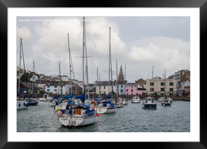 Majestic Boats in Ilfracombe Framed Mounted Print by tammy mellor