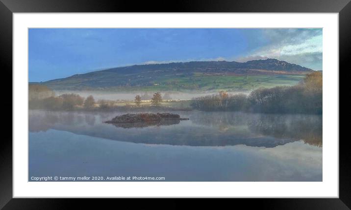 Misty Morning at Tittesworth Lake Framed Mounted Print by tammy mellor