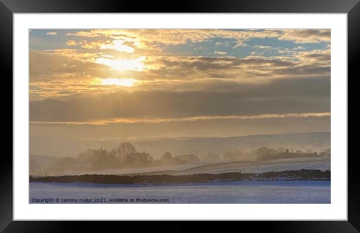 Serene Winter Sunrise Framed Mounted Print by tammy mellor
