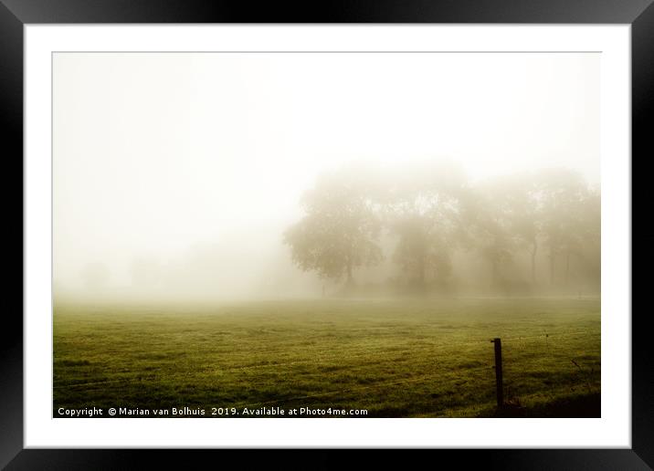 Trees in the morning mist Framed Mounted Print by Marian van Bolhuis