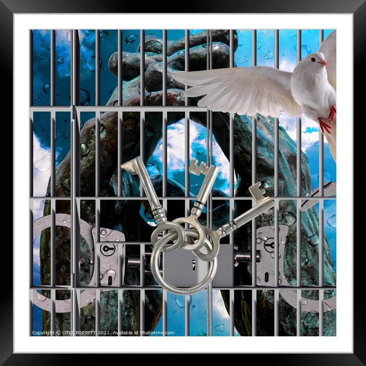 WHILE FREEDOM LASTS 3 (CROPPED) Framed Mounted Print by OTIS PORRITT