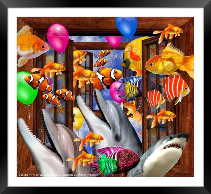 OUTSIDE THE WINDOW-SWIMMING WITH FISHES Framed Mounted Print by OTIS PORRITT