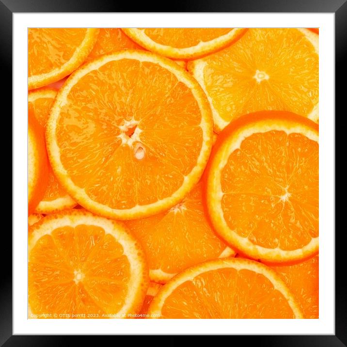 ORANGES  8 Framed Mounted Print by OTIS PORRITT