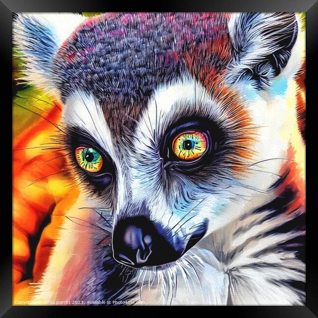 Ring-tailed lemur 3 Framed Print by OTIS PORRITT