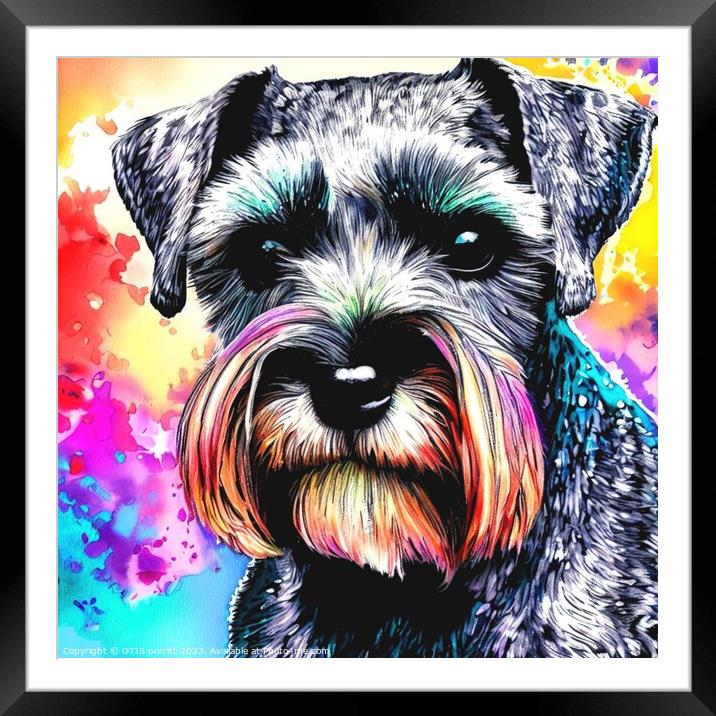 Miniature Schnauzer 2 Framed Mounted Print by OTIS PORRITT