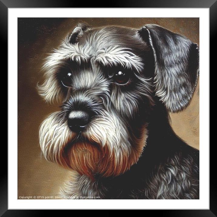 Miniature Schnauzer 6 Framed Mounted Print by OTIS PORRITT