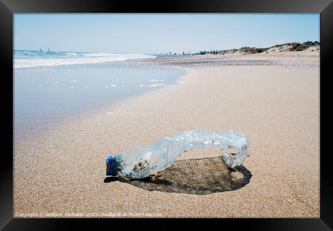Abandoned pet plastic bottle on the shore of a clean beach, poll Framed Print by Joaquin Corbalan
