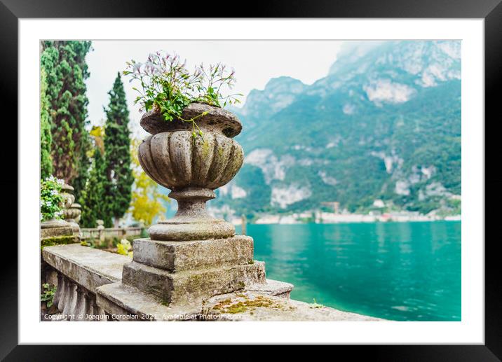 Elegant flower pots decorate the classic stone railing on a roma Framed Mounted Print by Joaquin Corbalan