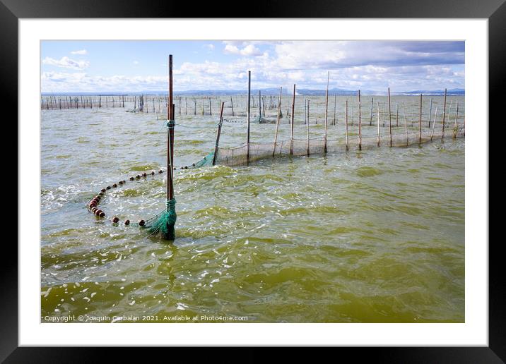 Traditional gear and fishing nets placed in the Valencia lagoon  Framed Mounted Print by Joaquin Corbalan