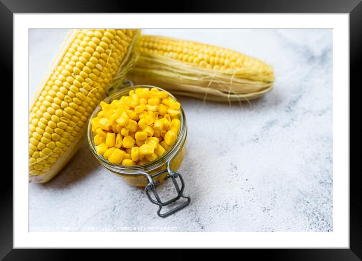 Sweet corn kernels are boiled and packed in cans to preserve the Framed Mounted Print by Joaquin Corbalan