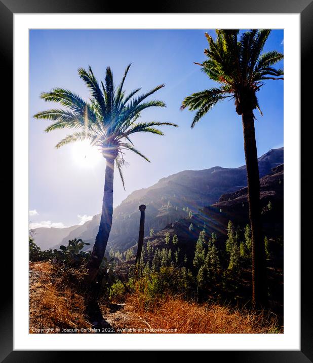 Palm trees in a Moroccan oasis surrounded by mountains in the mo Framed Mounted Print by Joaquin Corbalan
