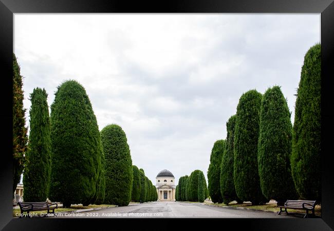 View of the monumental cemetery in Verona on a gloomy winter day Framed Print by Joaquin Corbalan