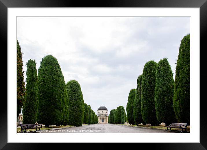 View of the monumental cemetery in Verona on a gloomy winter day Framed Mounted Print by Joaquin Corbalan