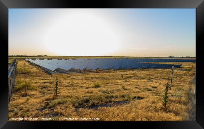 A semi-desert field with solar panels to generate electricity at Framed Print by Joaquin Corbalan