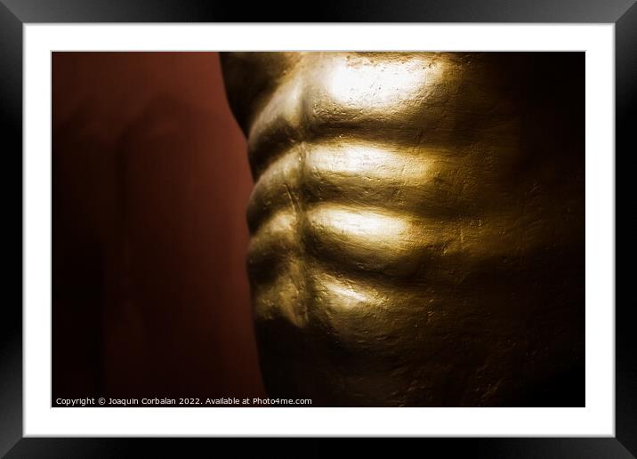 Abdominal muscles, part of the muscular core of the human body. Framed Mounted Print by Joaquin Corbalan