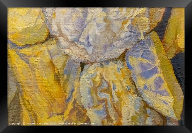 Colorful details of a dry oil painting, background with real tex Framed Print by Joaquin Corbalan