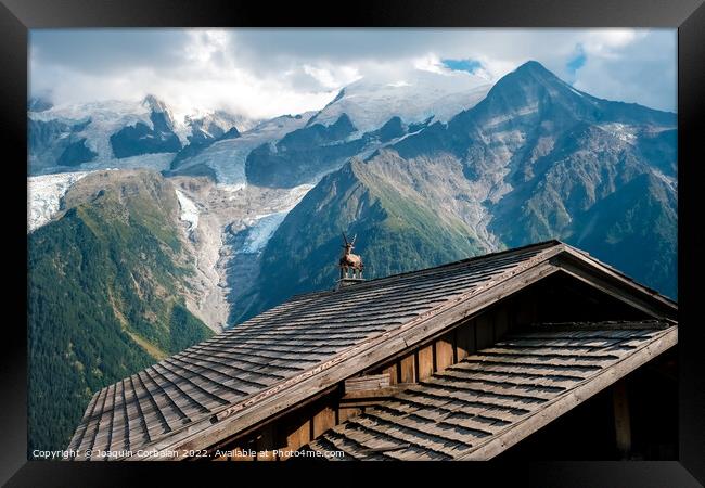 Alpine ibex, capra, resting bucolic on the roofs of alpine huts, Framed Print by Joaquin Corbalan