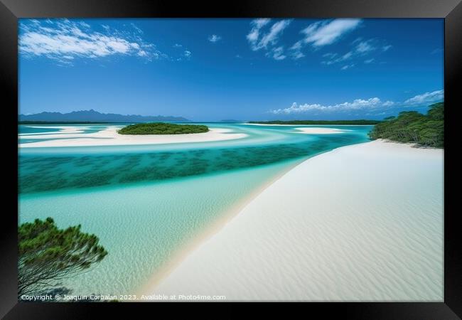 Tropical paradise beaches with white sand, negative space for co Framed Print by Joaquin Corbalan