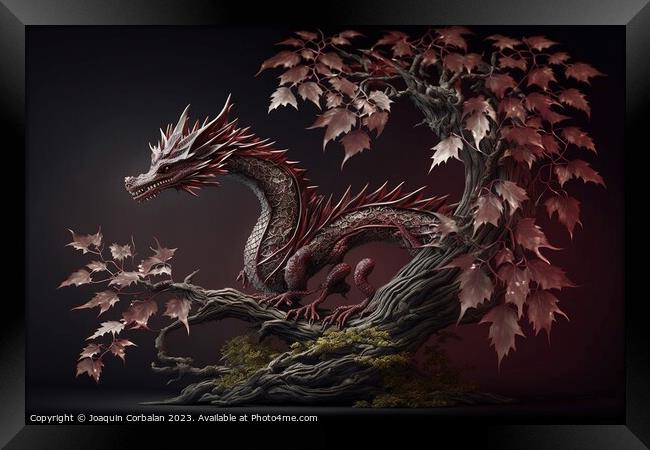 An Asian dragon, elongated snake-like and scaly, isolated on bac Framed Print by Joaquin Corbalan