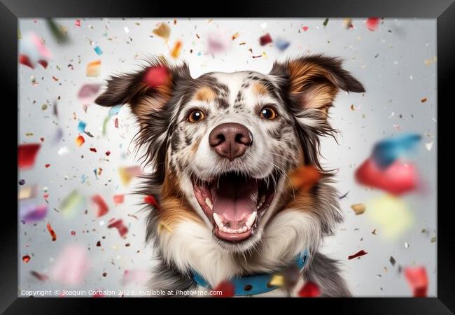 A dog full of joy surrounded by flying confetti. A Framed Print by Joaquin Corbalan