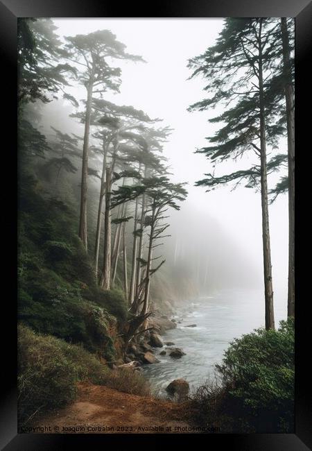 A misty morning in the forest, natural background. Framed Print by Joaquin Corbalan