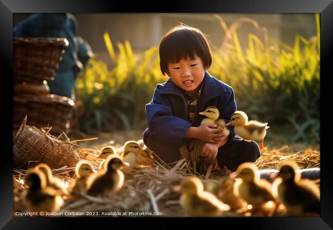 A happy boy on the farm collects the newly hatched chicks. Ai generated. Framed Print by Joaquin Corbalan