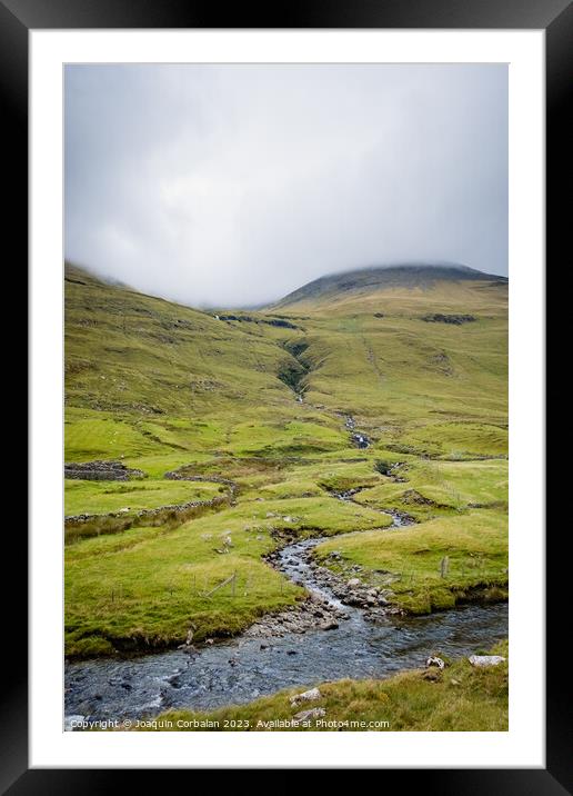 Irish mountain sheep graze on the wet green hills. Framed Mounted Print by Joaquin Corbalan